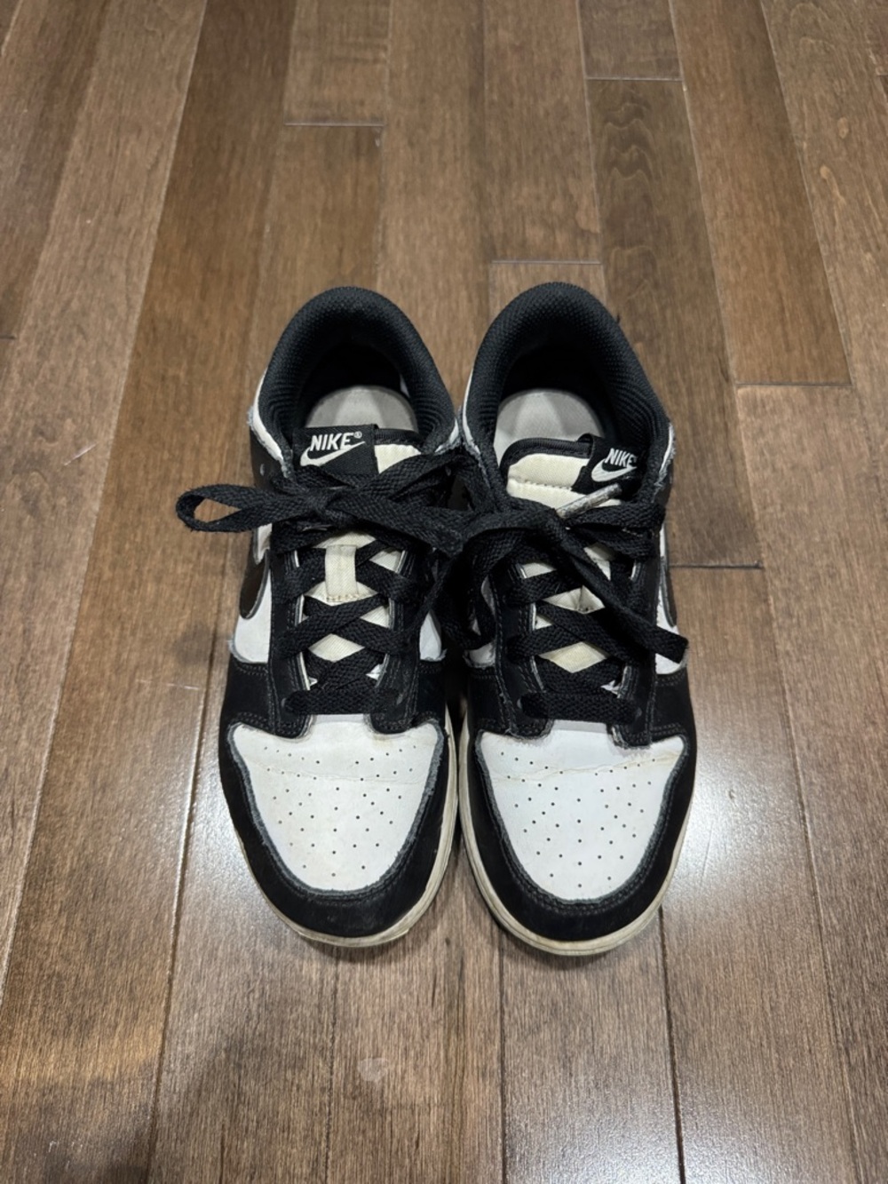Nike Kids Dunks